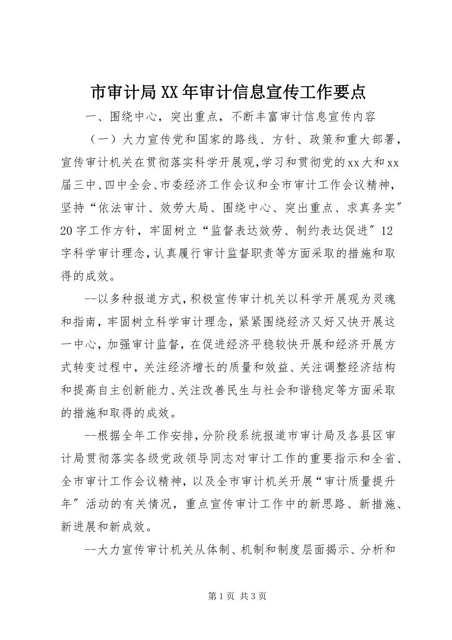 2023年市审计局审计信息宣传工作要点.docx_第1页