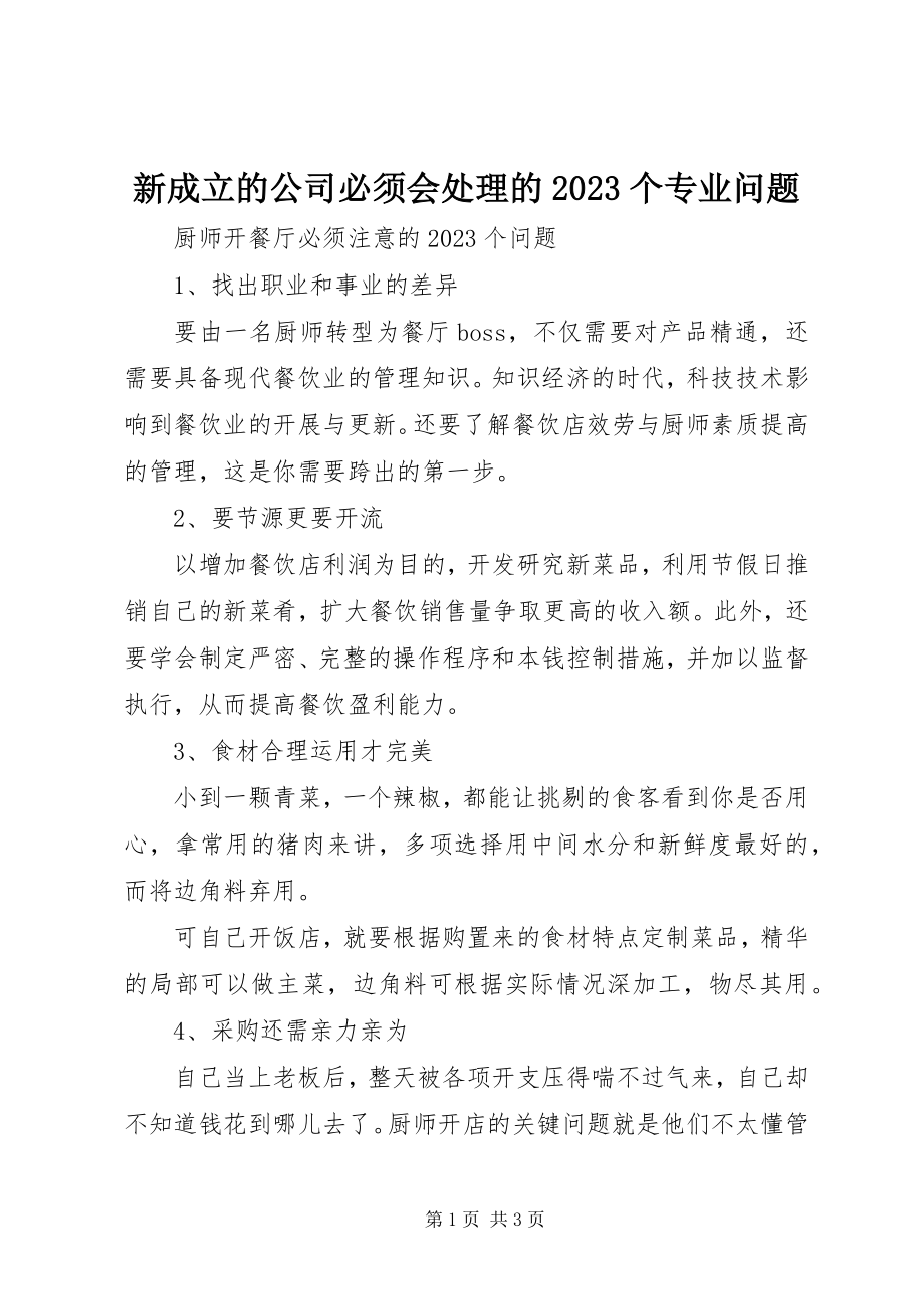 2023年新成立的公司必须会处理的10个专业问题.docx_第1页