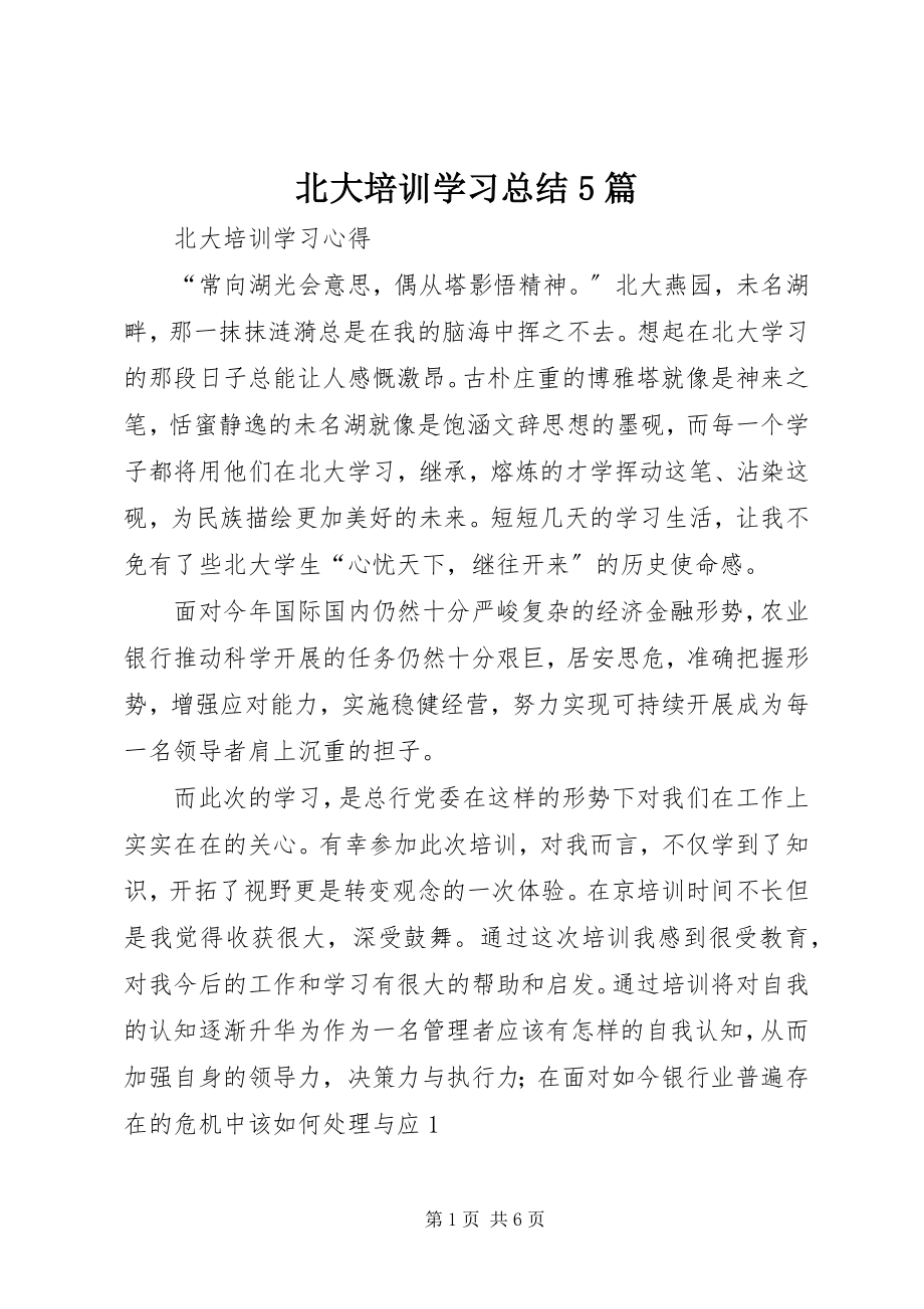 2023年北大培训学习总结5篇新编.docx_第1页