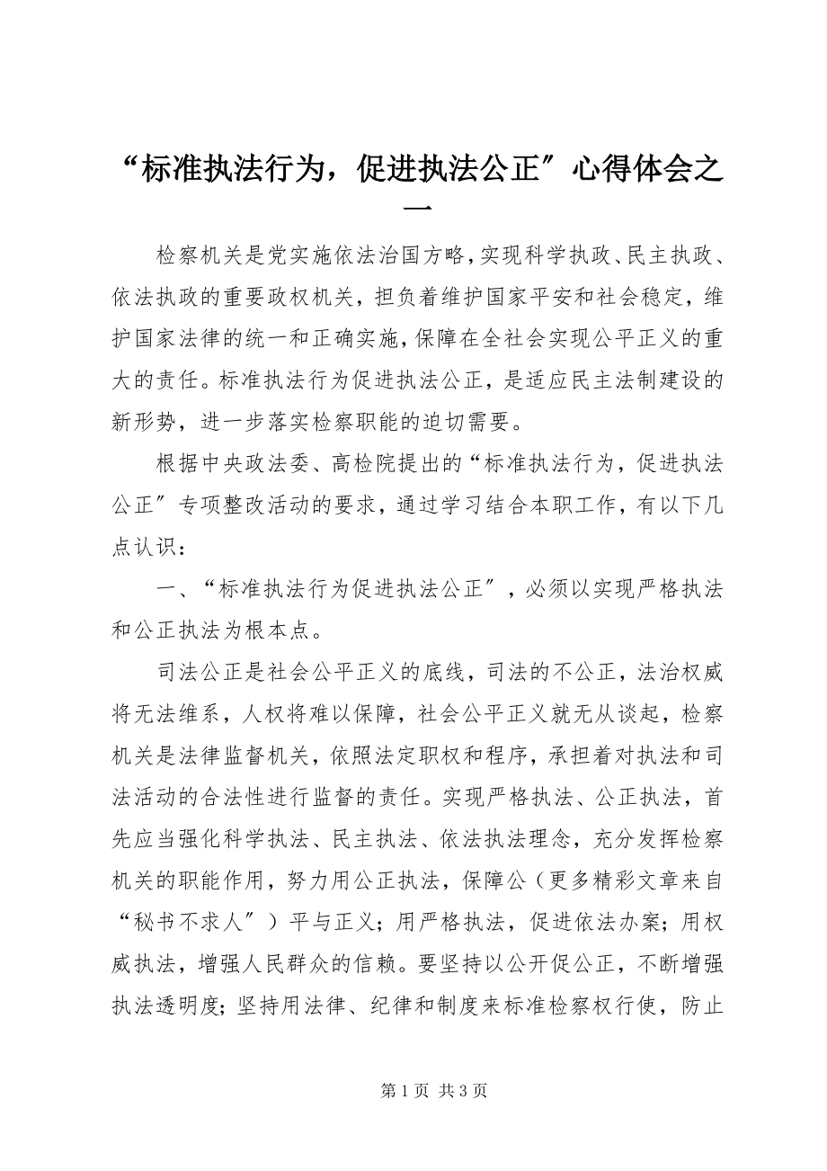 2023年“规范执法行为促进执法公正”心得体会之一新编.docx_第1页