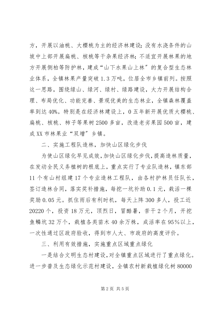 2023年林业绿化工作总结讲话.docx_第2页