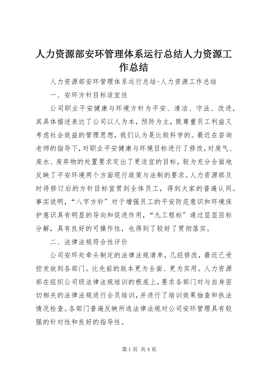 2023年人力资源部安环管理体系运行总结人力资源工作总结.docx_第1页