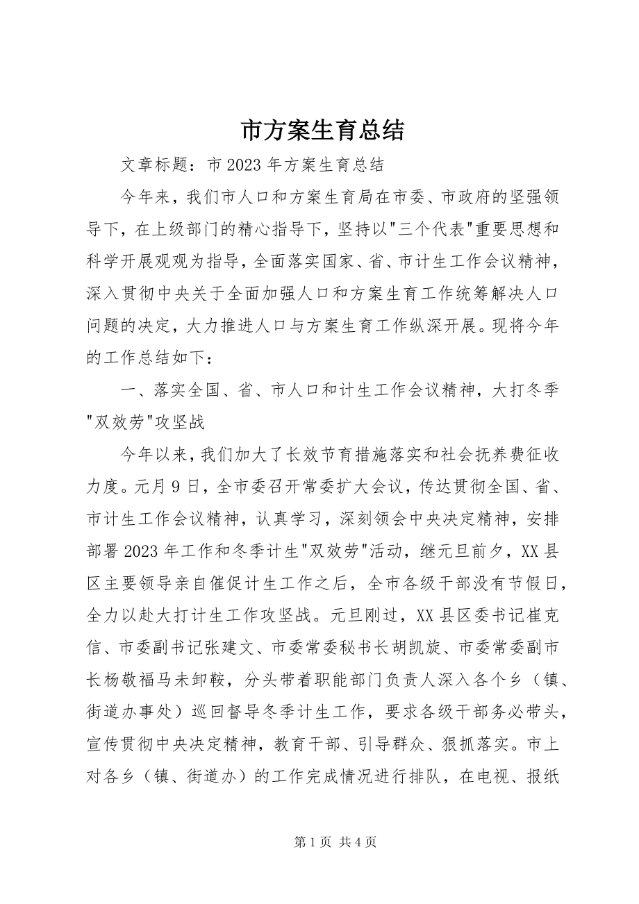 2023年市计划生育总结.docx_第1页