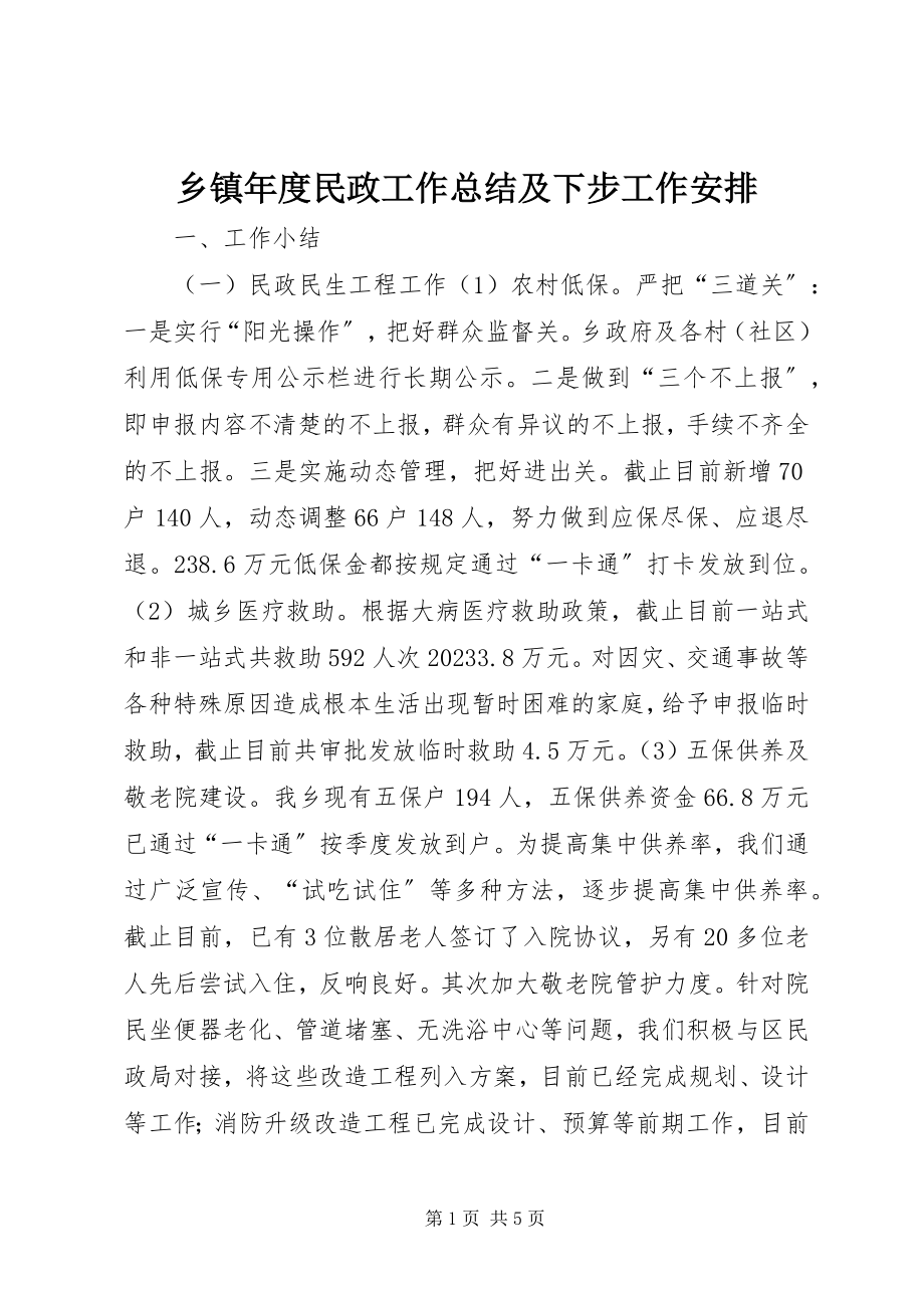 2023年乡镇年度民政工作总结及下步工作安排.docx_第1页