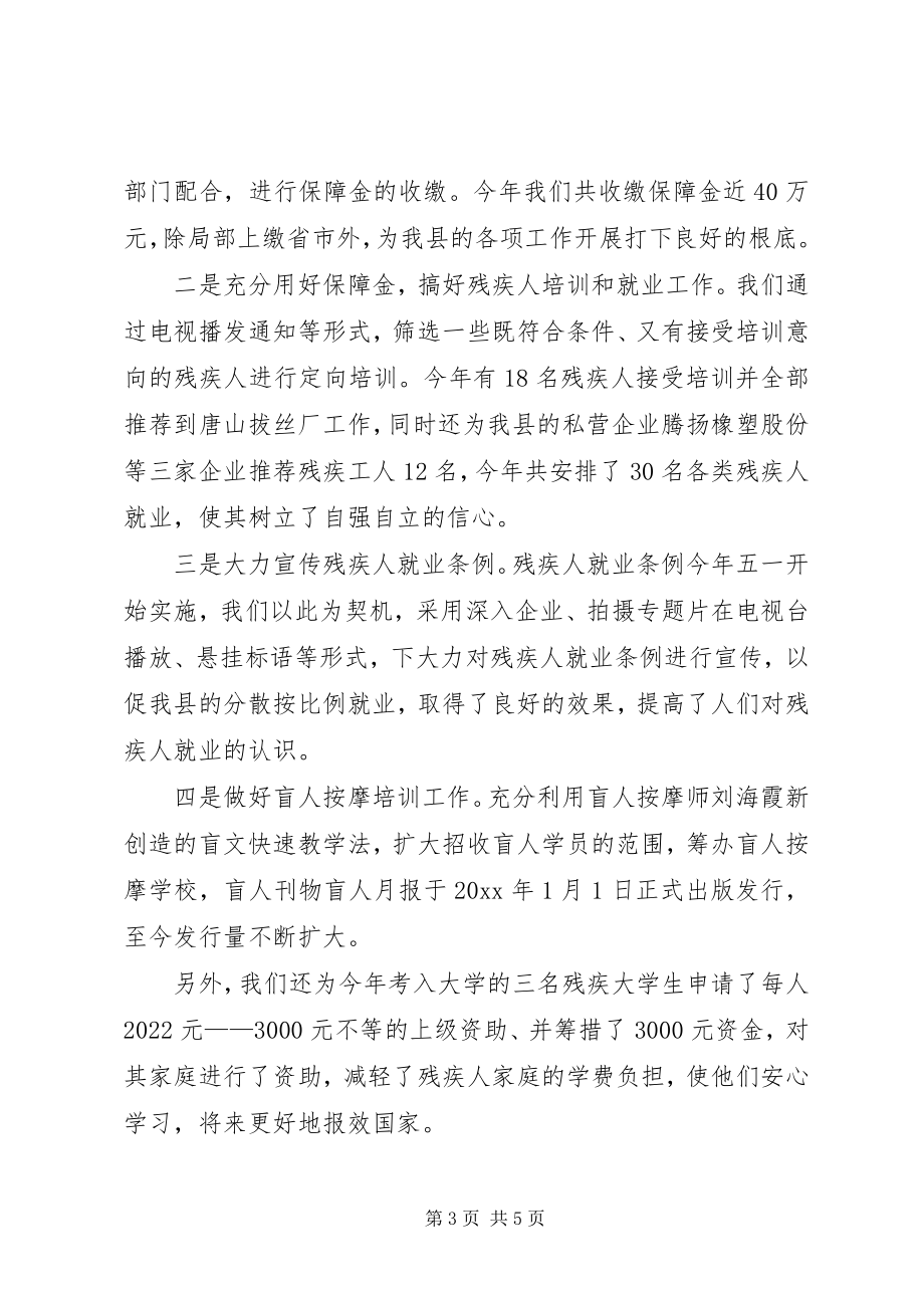 2023年残联年终总结计划新编.docx_第3页