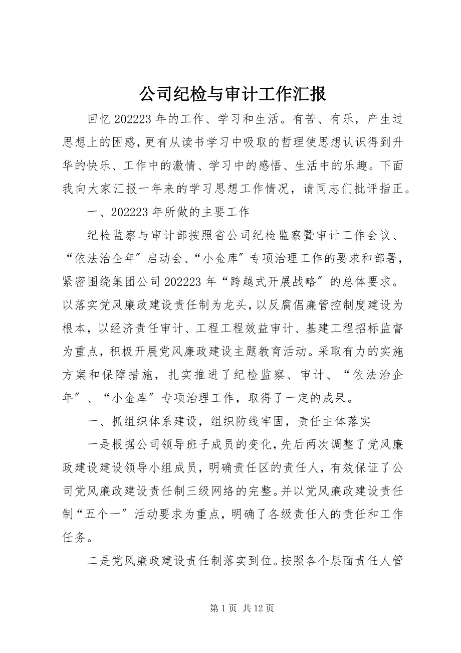 2023年公司纪检与审计工作汇报.docx_第1页