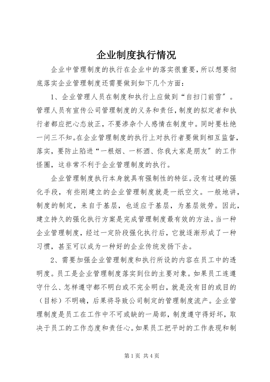 2023年企业制度执行情况.docx_第1页