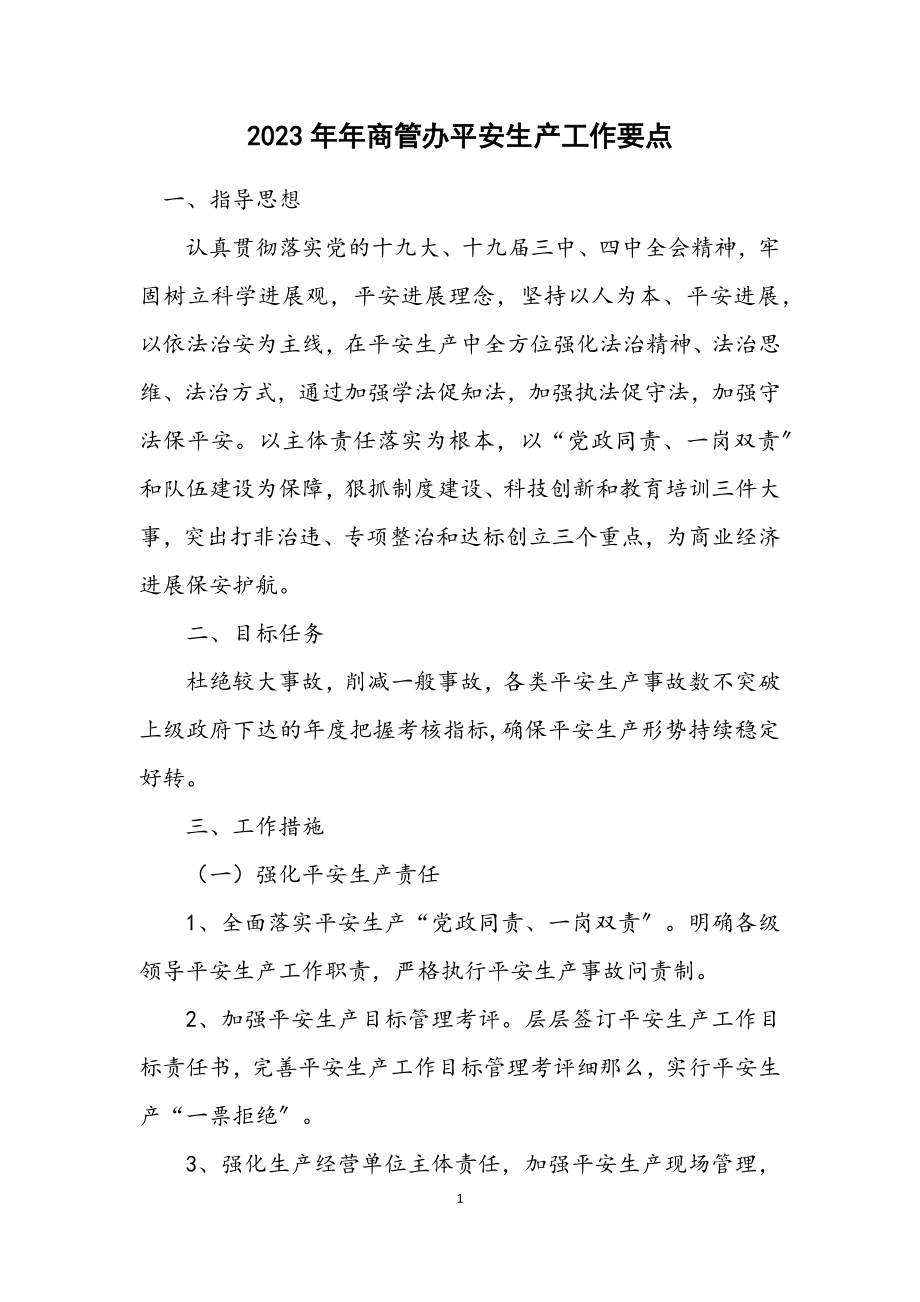 2023年商管办安全生产工作要点.docx_第1页