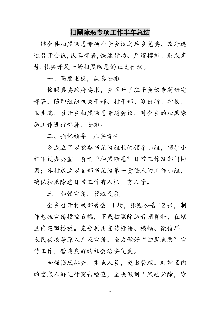 2023年扫黑除恶专项工作半年总结范文.doc_第1页