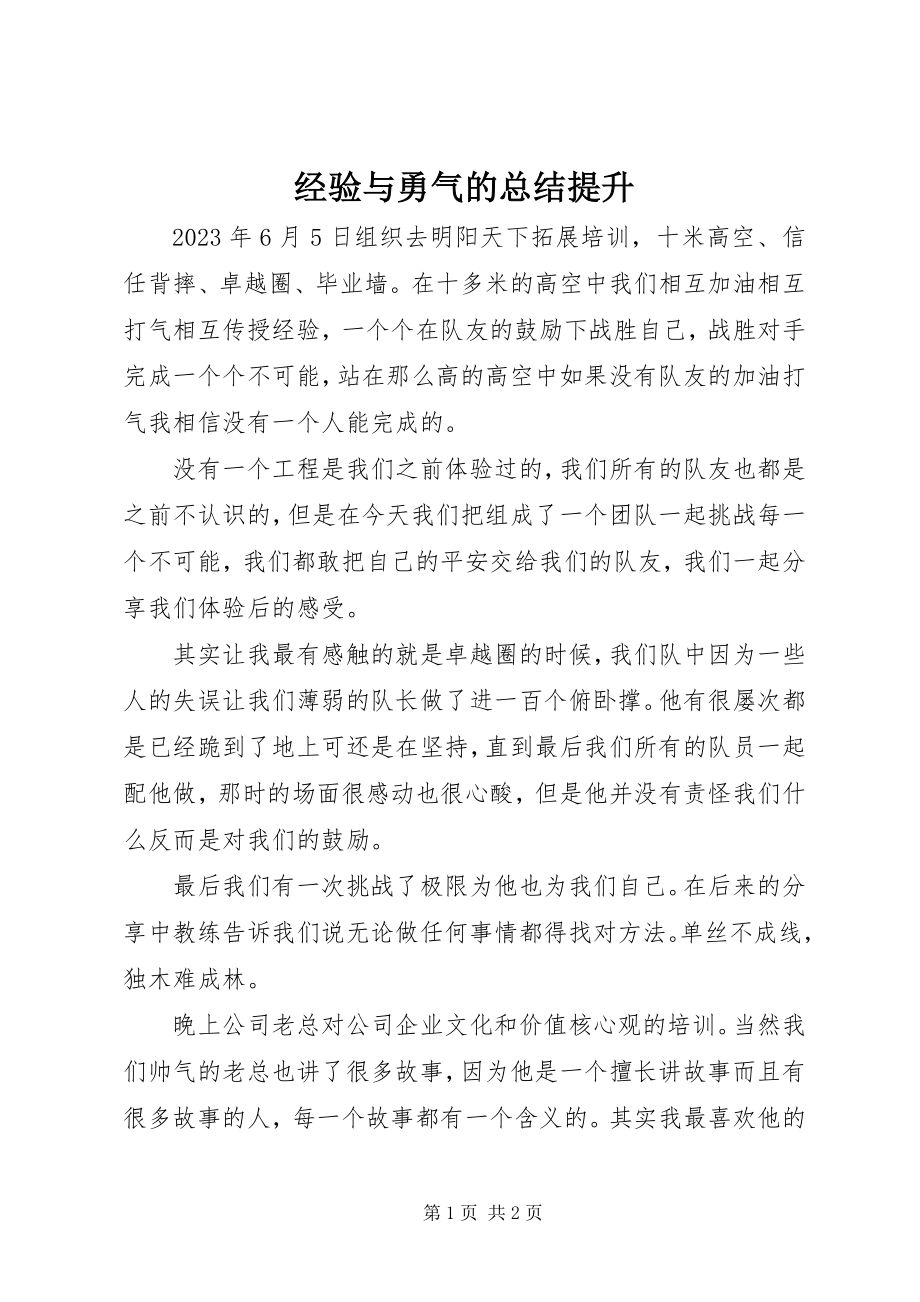 2023年经验与勇气的总结提升.docx_第1页