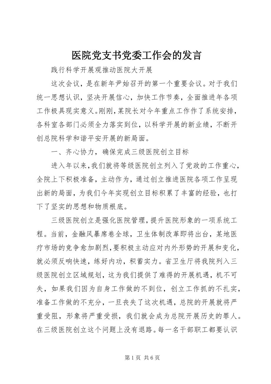 2023年医院党支书党委工作会的讲话.docx_第1页