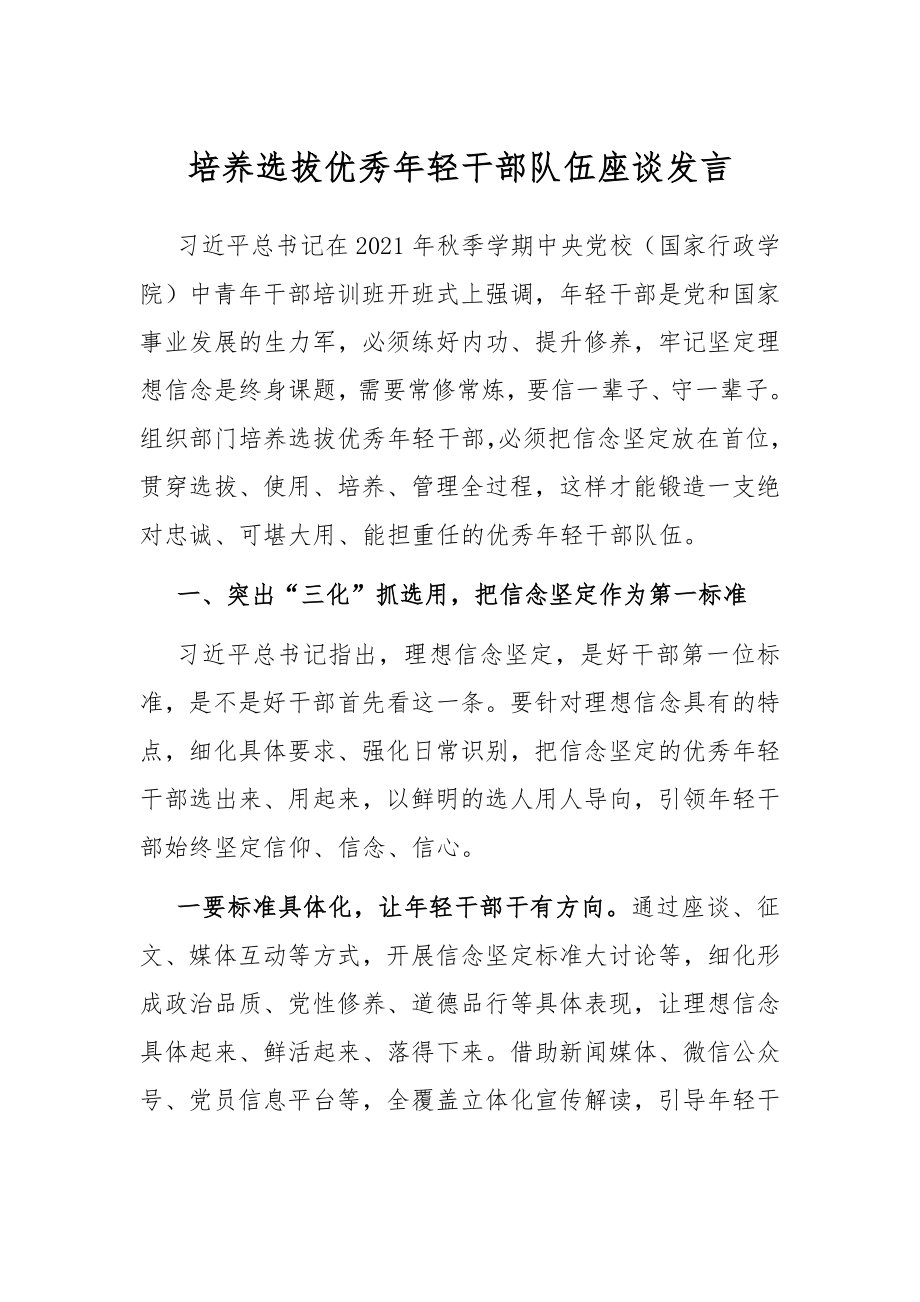 培养选拔优秀年轻干部队伍座谈发言.docx_第1页