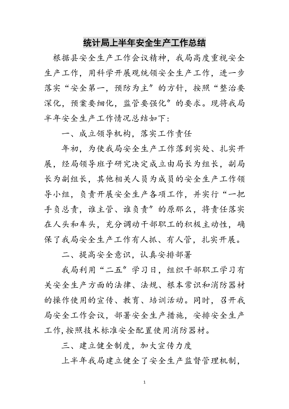 2023年统计局上半年安全生产工作总结范文.doc_第1页