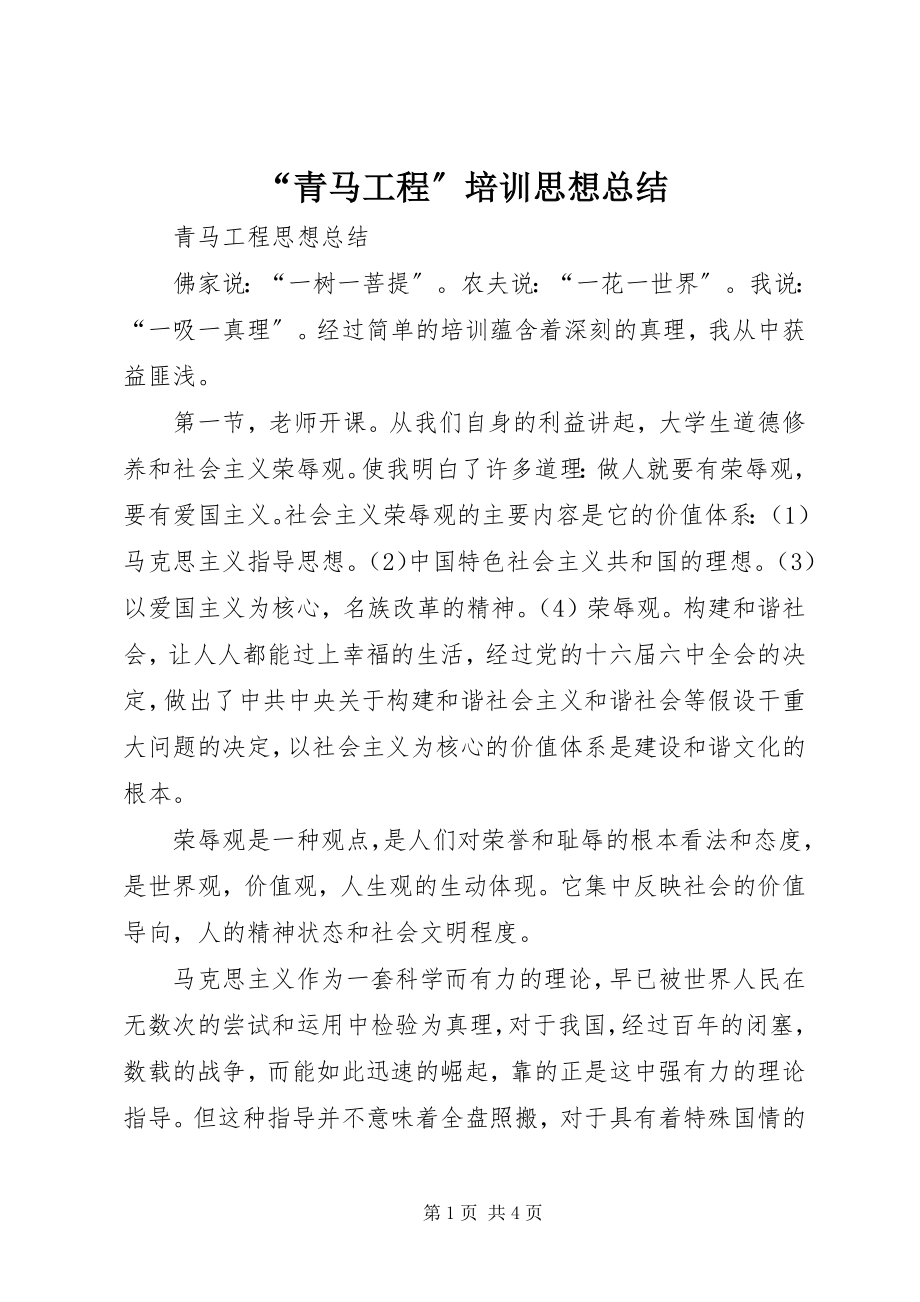 2023年青马工程培训思想总结.docx_第1页