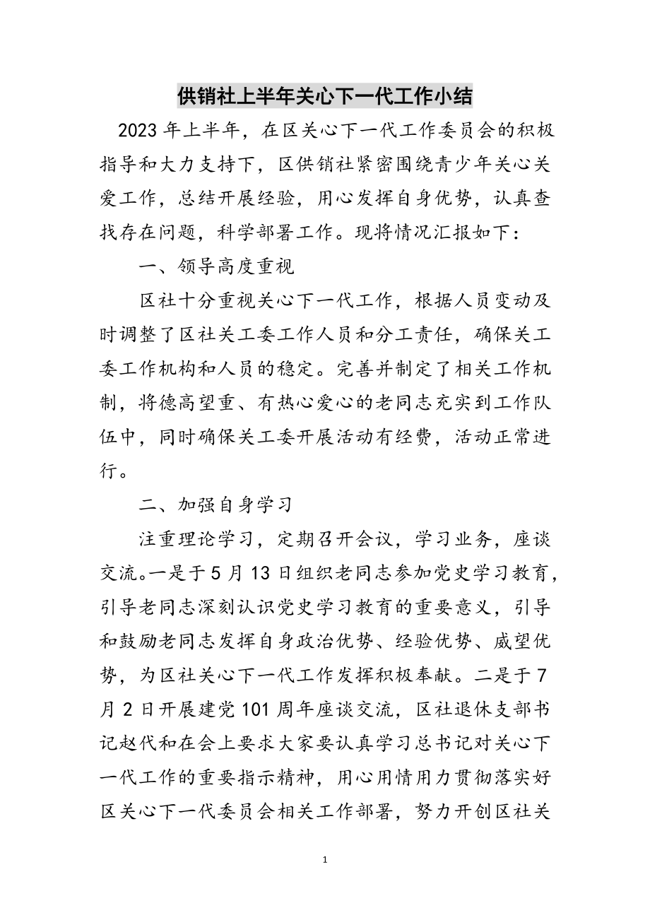 2023年供销社上半年关心下一代工作小结范文.doc_第1页