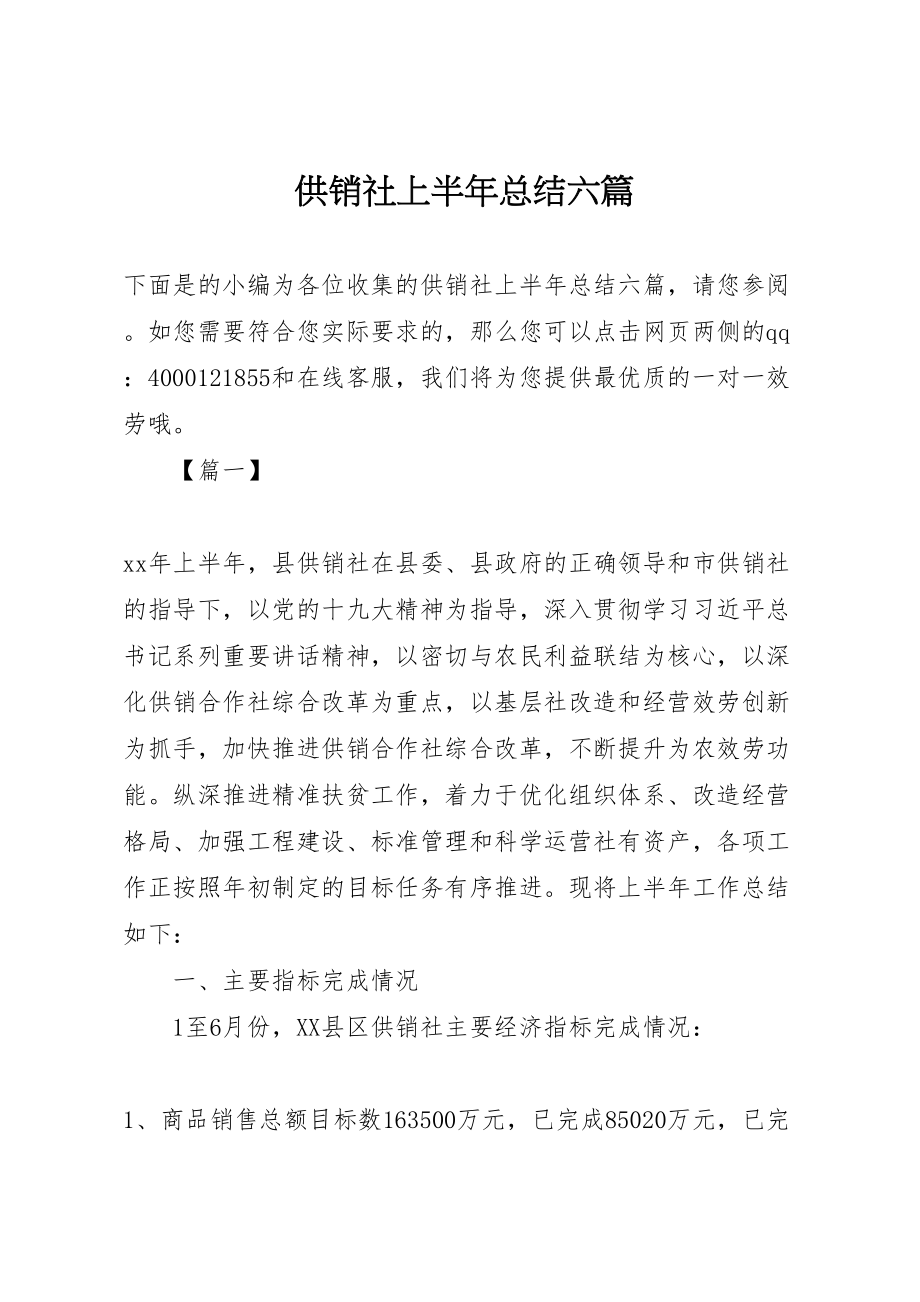 2023年供销社上半年总结六篇.doc_第1页