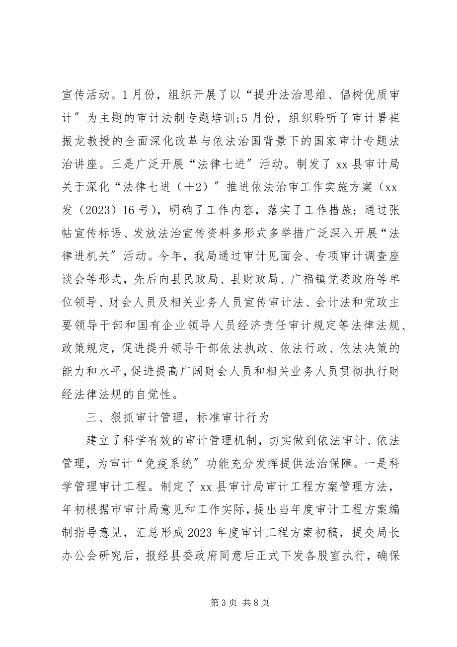 2023年县审计局上半年依法治理工作总结.docx_第3页