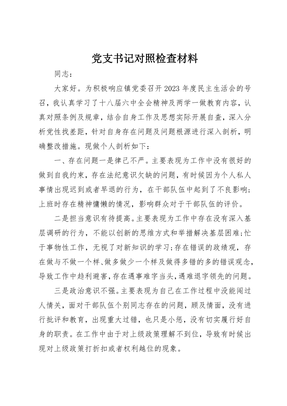 2023年党支书记对照检查材料.docx_第1页