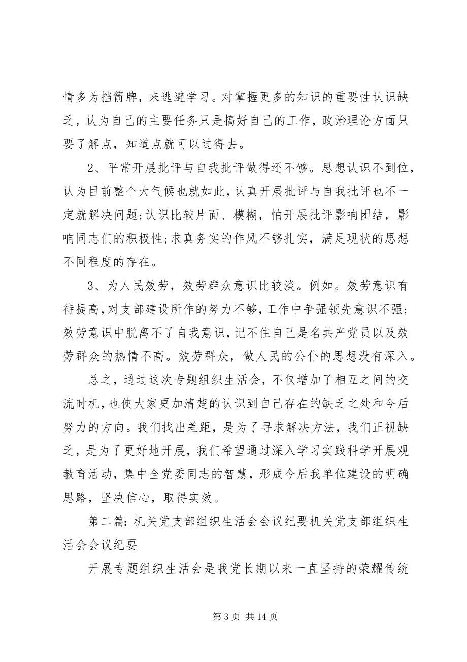 2023年开发区工商局党支部专题组织生活会纪要.docx_第3页