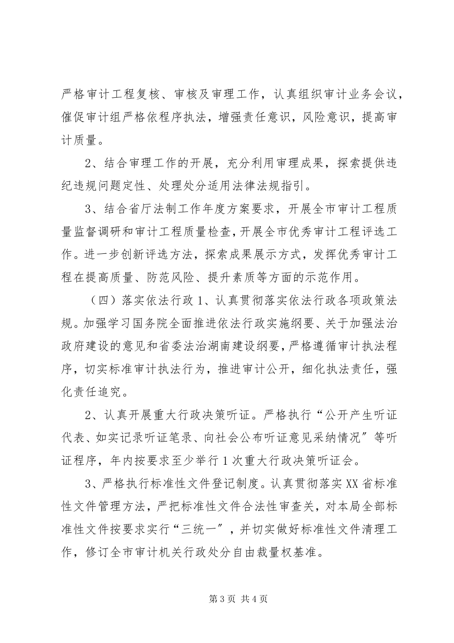 2023年市审计机关依法行政工作计划.docx_第3页