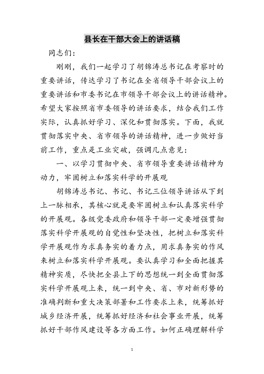 2023年县长在干部大会上的讲话稿范文.doc_第1页