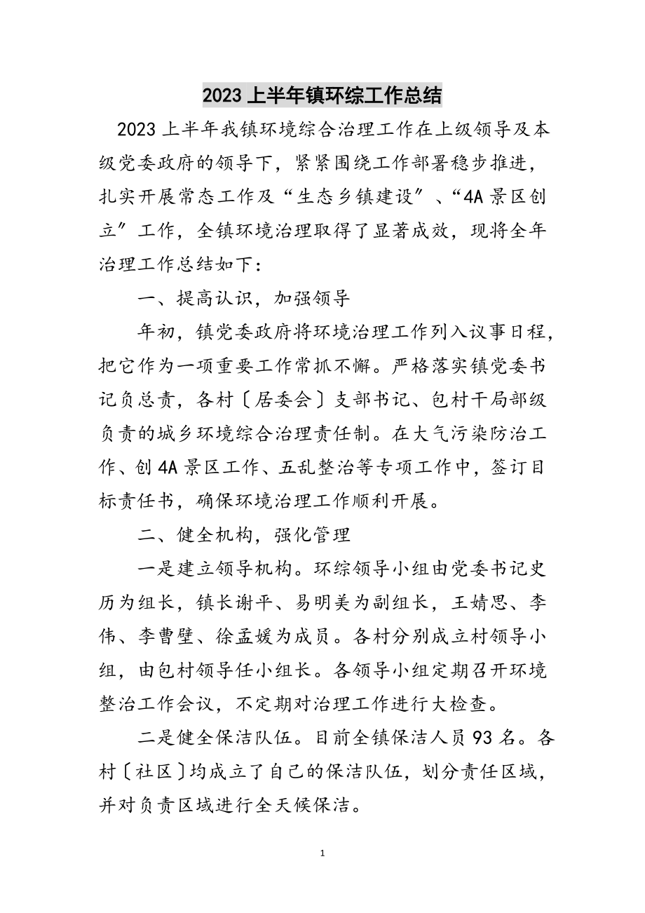 2023年上半年镇环综工作总结范文.doc_第1页