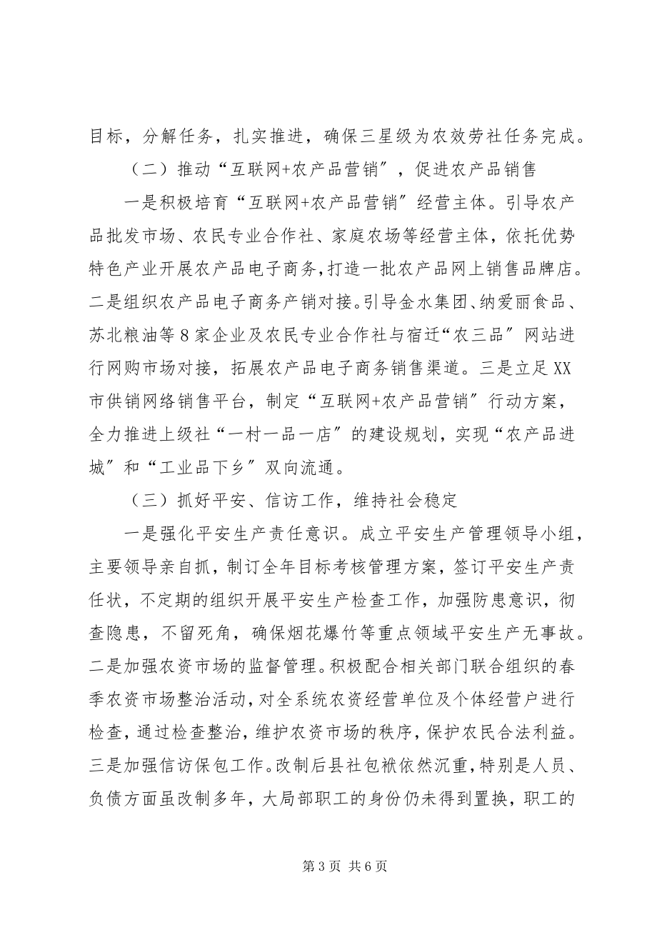 2023年供销社某年上半年工作总结暨下半年工作计划.docx_第3页