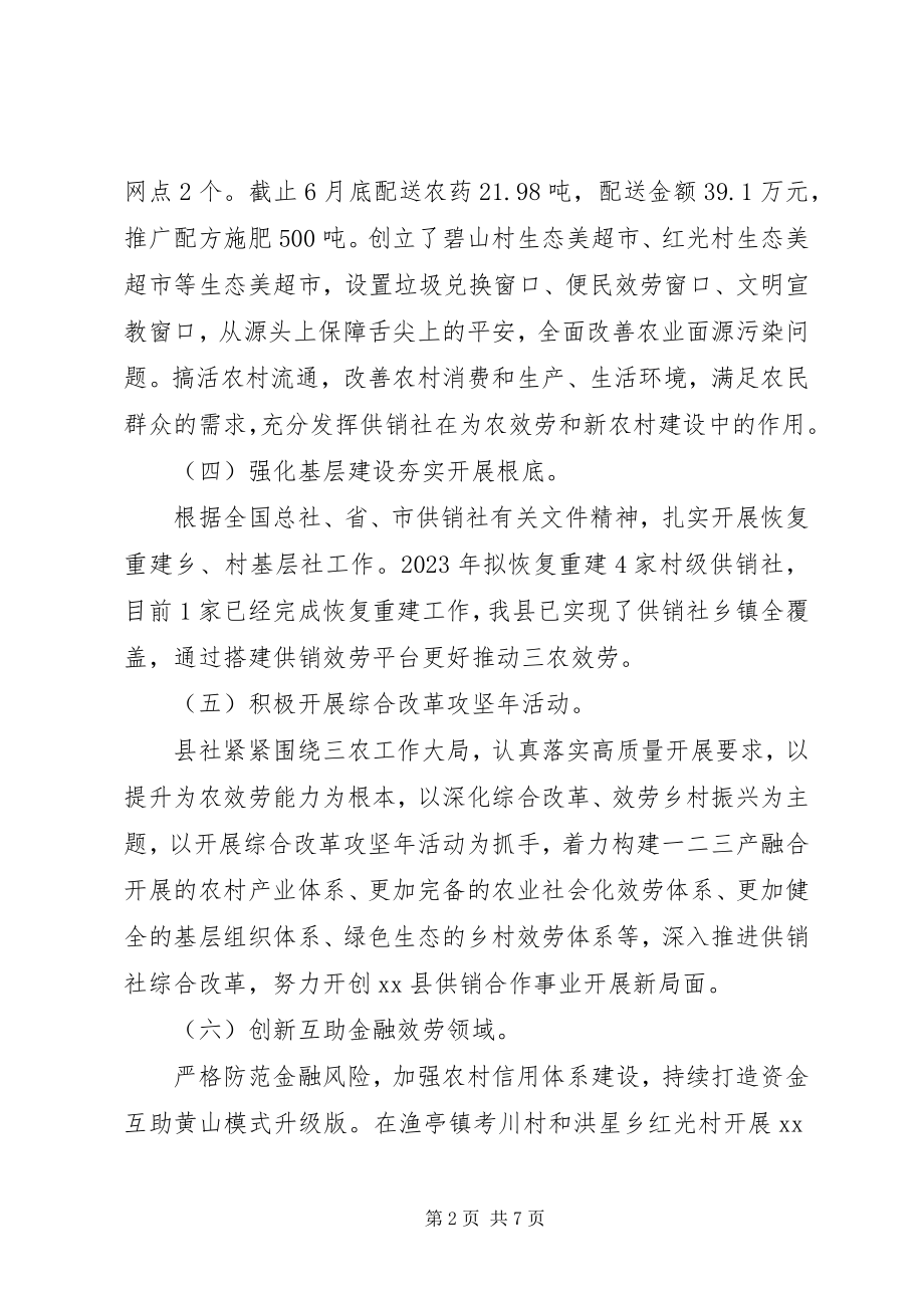 2023年县供销社上半年工作总结及下半年工作计划.docx_第2页