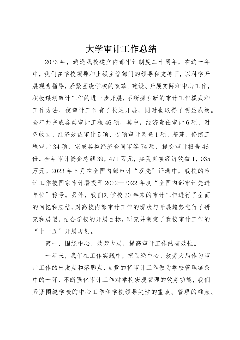 2023年大学审计工作总结.docx_第1页