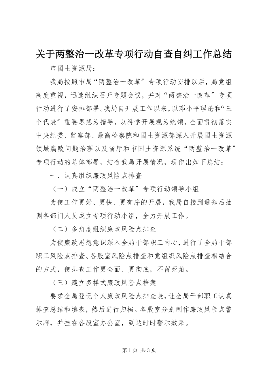 2023年两整治一改革专项行动自查自纠工作总结.docx_第1页