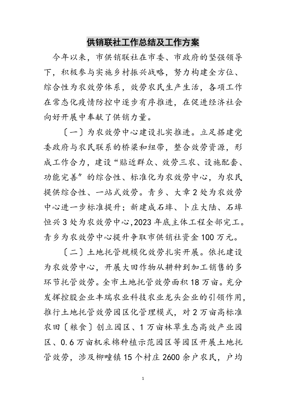 2023年供销联社工作总结及工作计划范文.doc_第1页