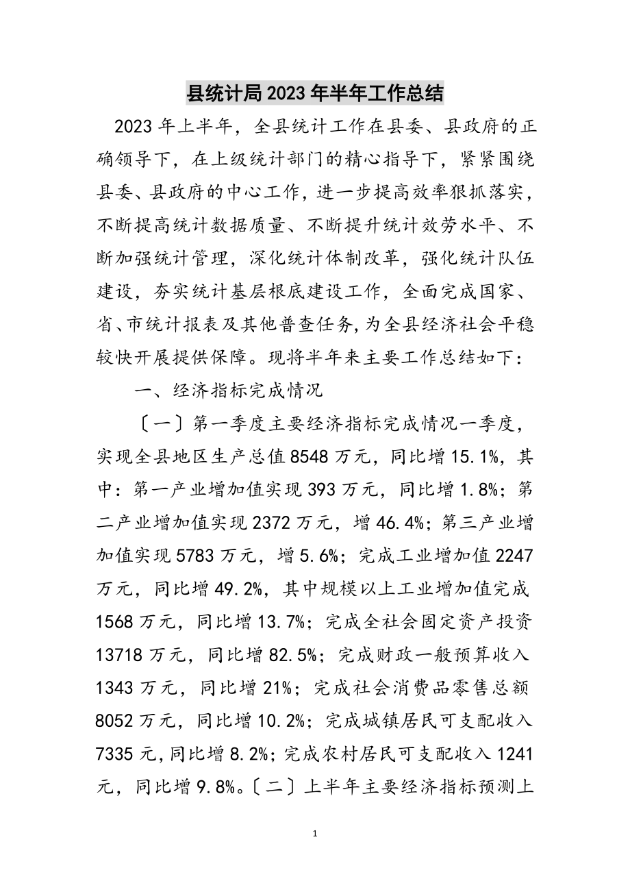 2023年县统计局年半年工作总结范文.doc_第1页