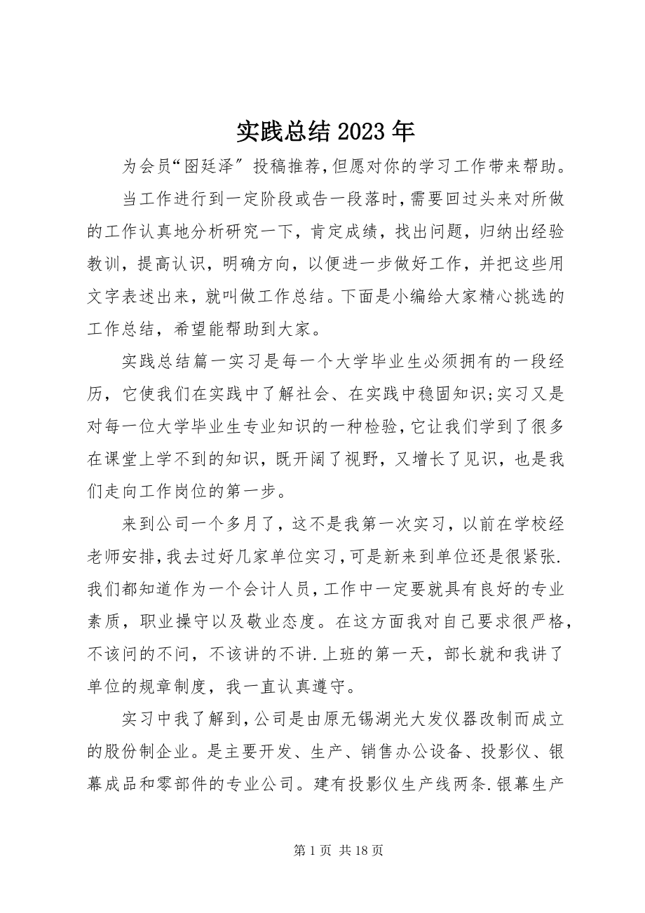 2023年实践总结.docx_第1页