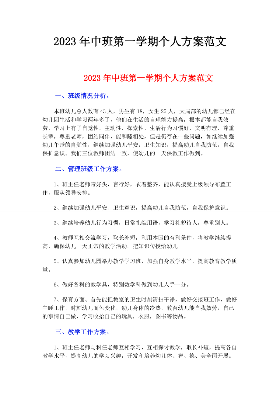 2023年中班第学期个人计划.docx_第1页