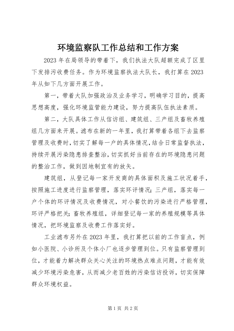 2023年环境监察队工作总结和工作计划.docx_第1页