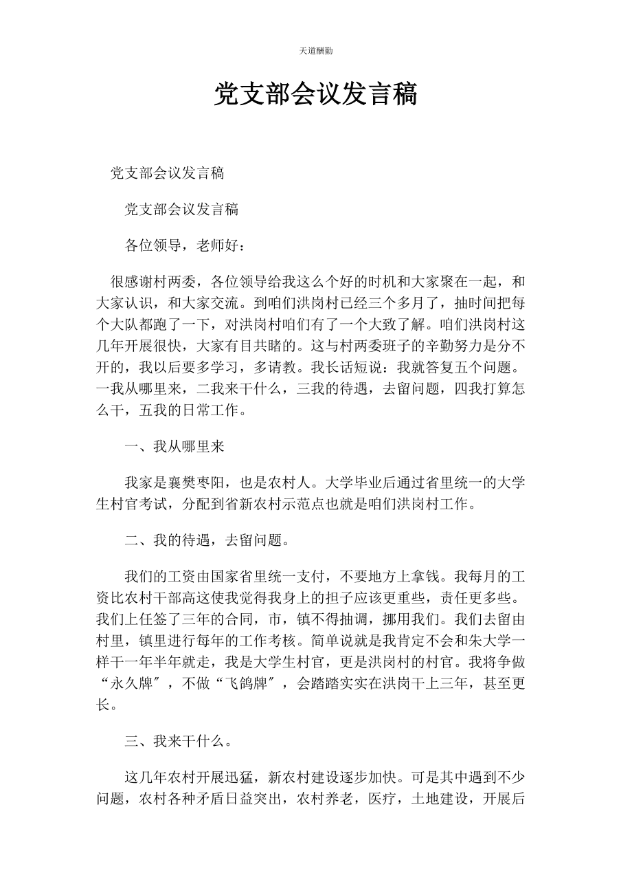 2023年党支部会议发言稿.docx_第1页