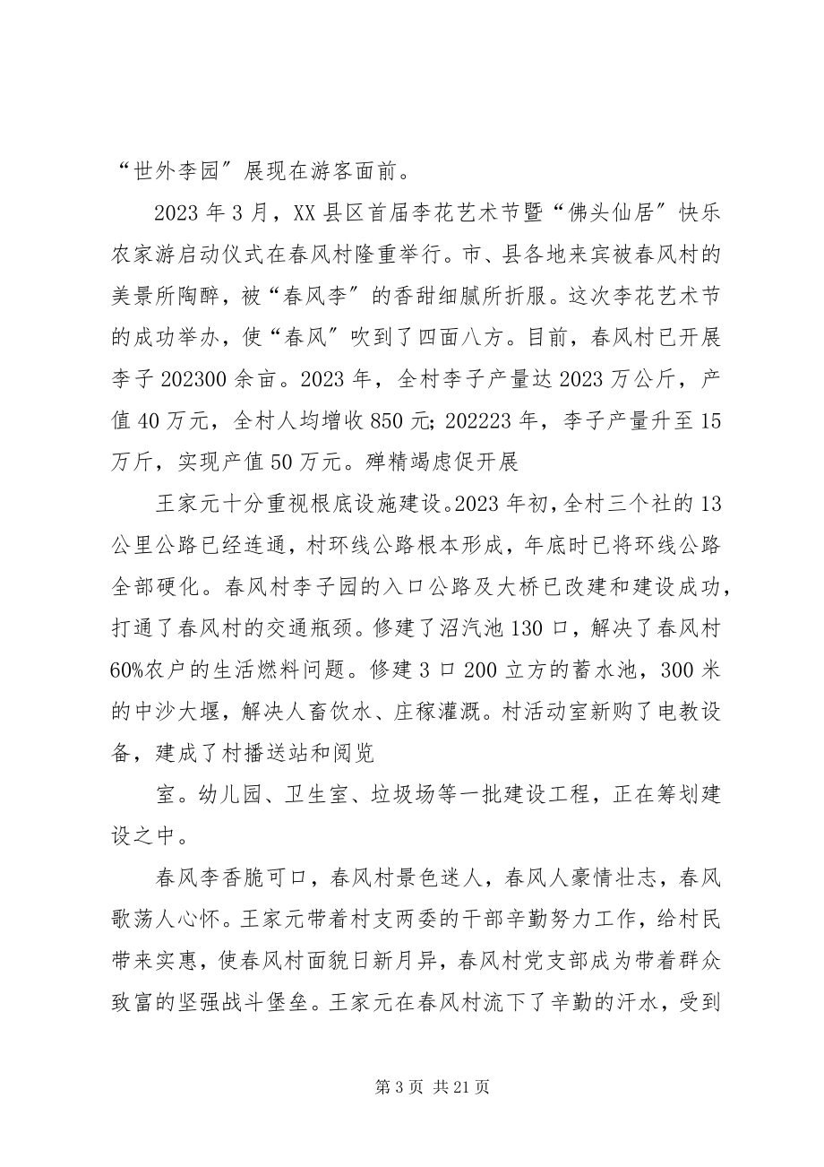 2023年王家元先进事迹材料.docx_第3页