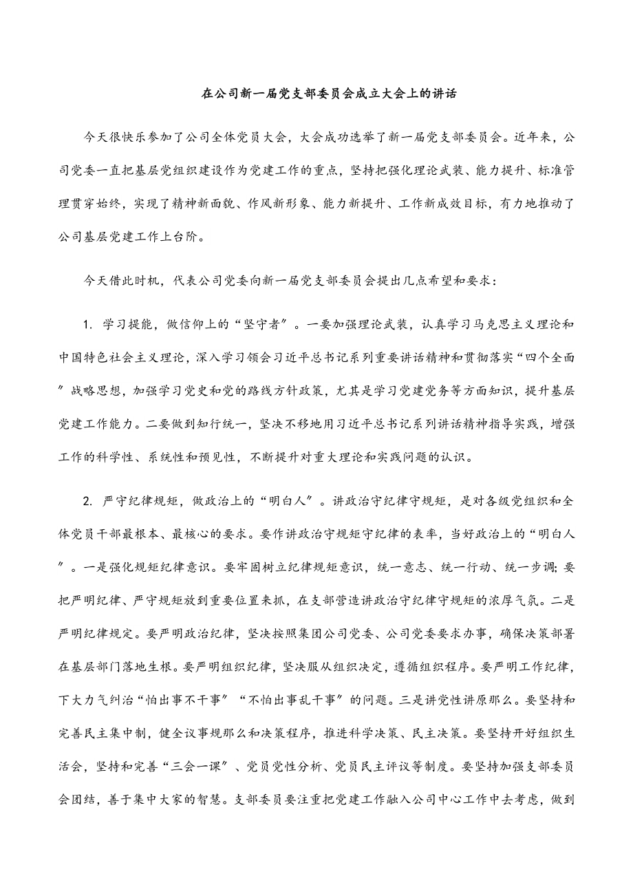 2023年在公司新一届党支部委员会成立大会上的讲话.docx_第1页