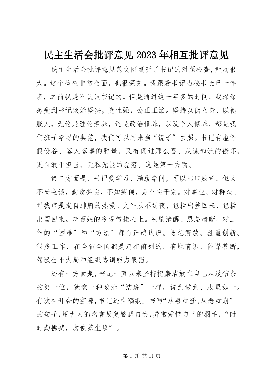 2023年民主生活会批评意见相互批评意见.docx_第1页