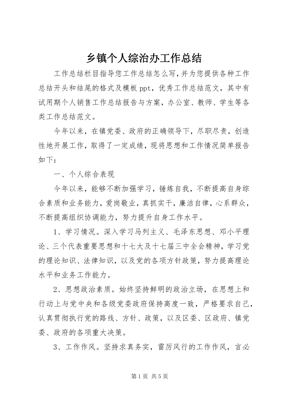 2023年乡镇个人综治办工作总结.docx_第1页