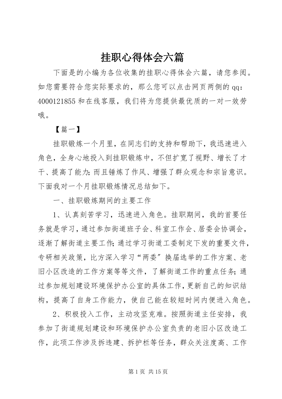 2023年挂职心得体会六篇.docx_第1页