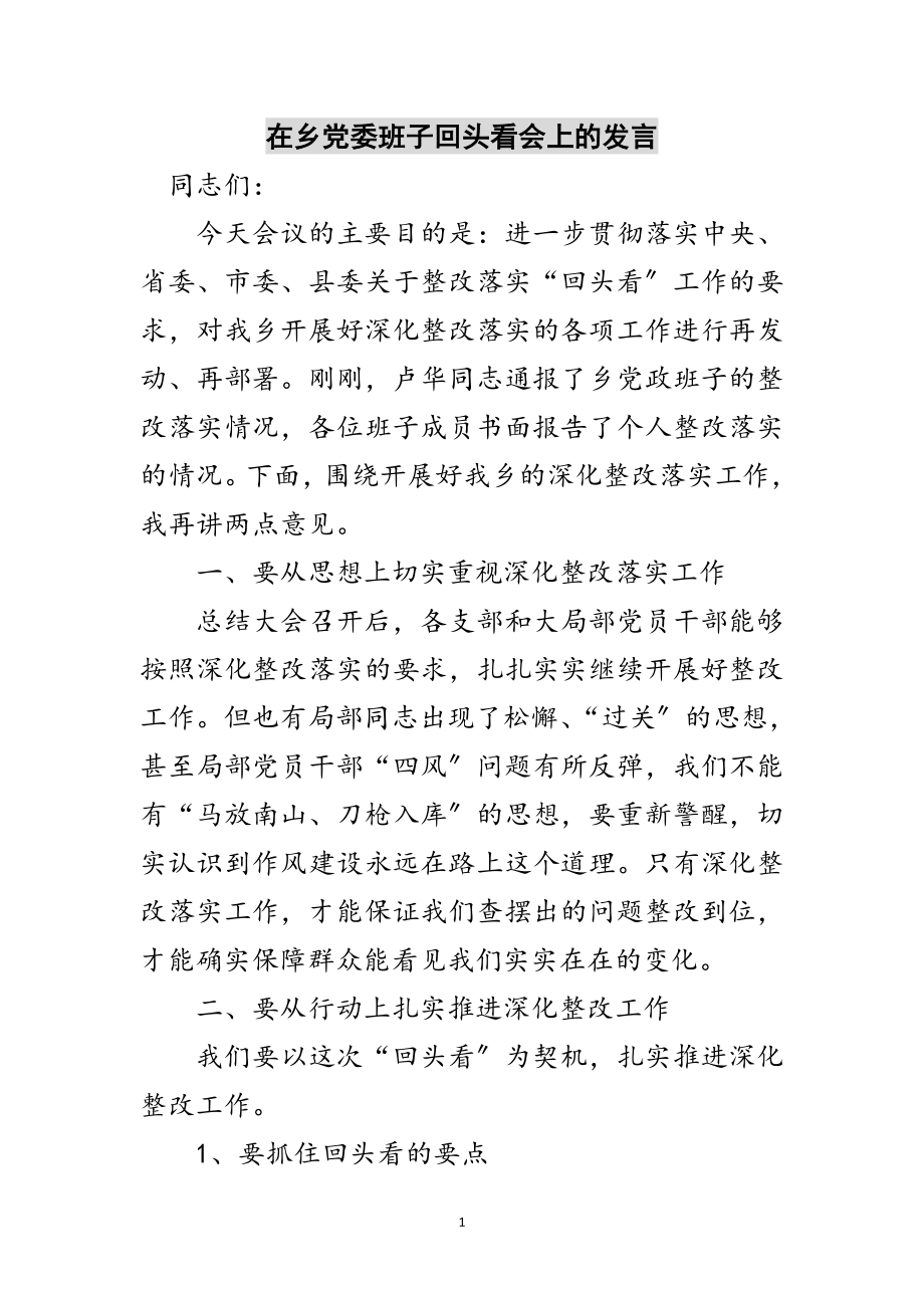 2023年在乡党委班子回头看会上的发言范文.doc_第1页