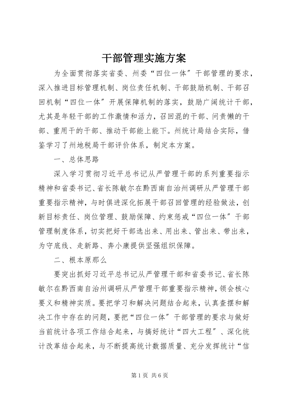 2023年干部管理实施方案.docx_第1页