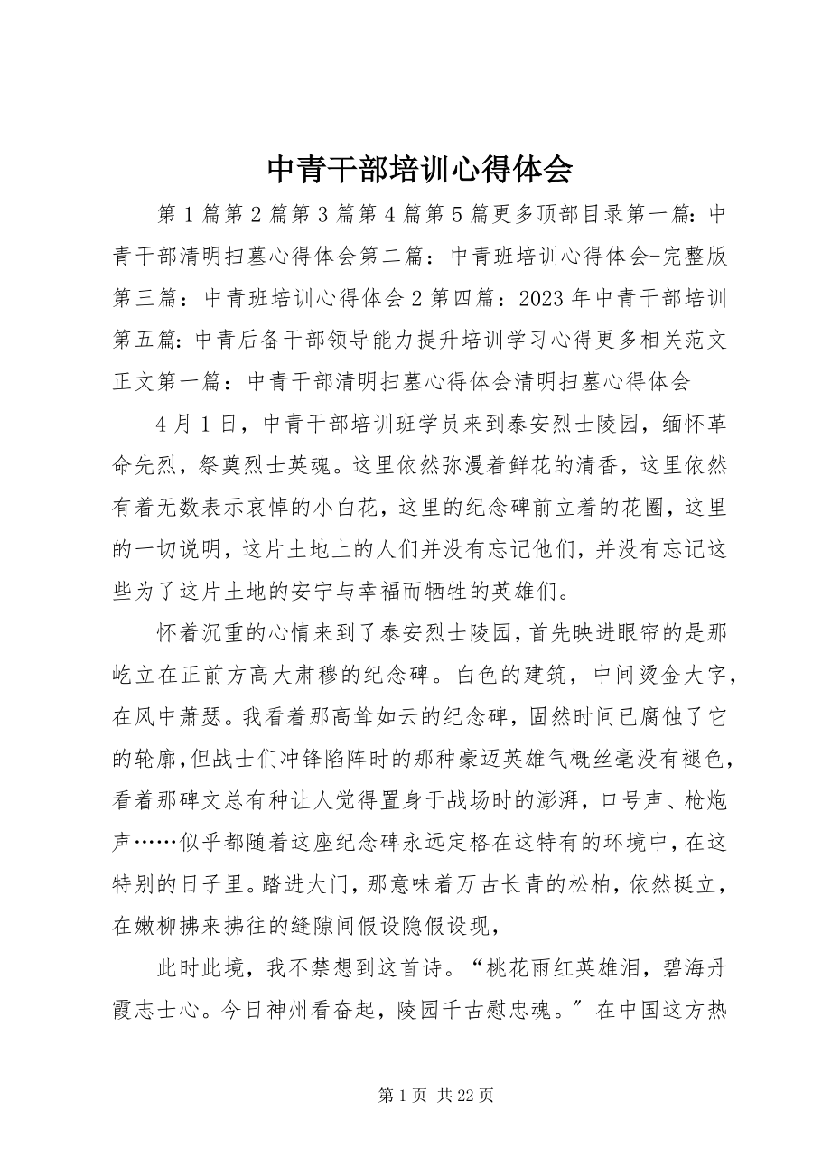 2023年中青干部培训心得体会.docx_第1页