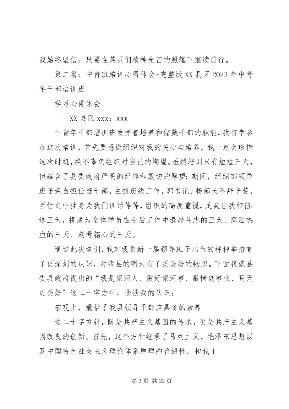 2023年中青干部培训心得体会.docx_第3页