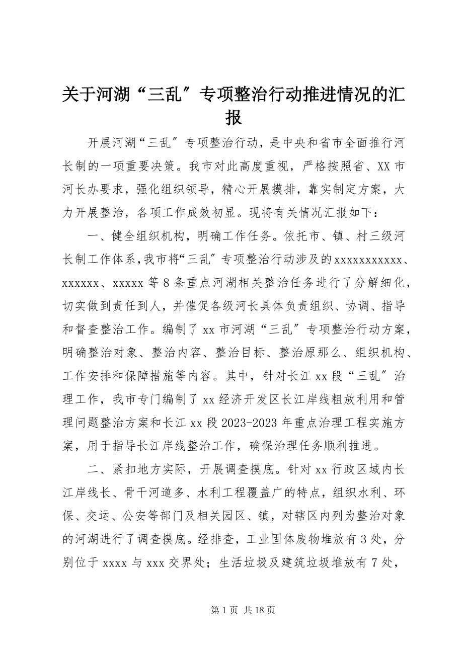 2023年河湖“三乱”专项整治行动推进情况的汇报.docx_第1页