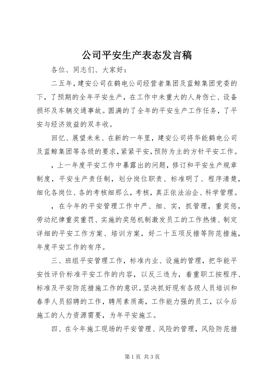 2023年公司安全生产表态讲话稿.docx_第1页