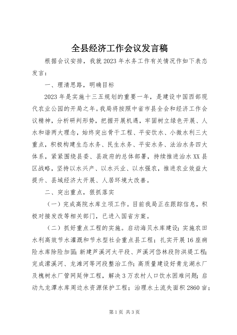 2023年全县经济工作会议发言稿.docx_第1页