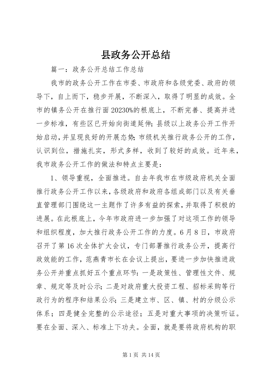 2023年县政务公开总结.docx_第1页