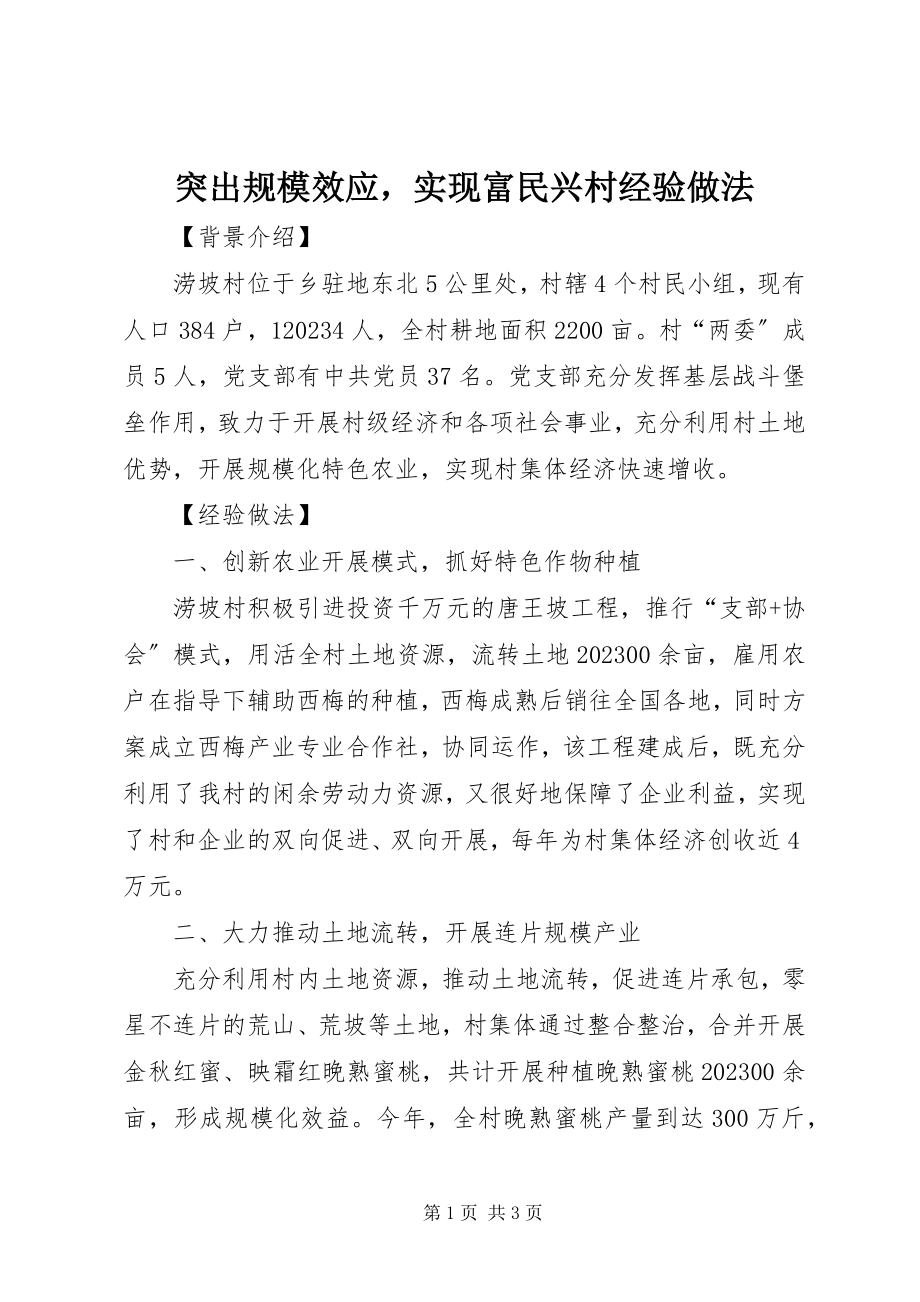 2023年突出规模效应实现富民兴村经验做法.docx_第1页